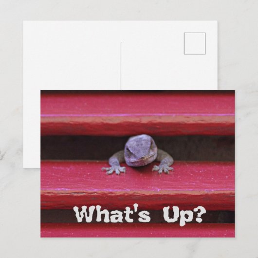 Was ist los? Postkarte (Vorne/Hinten)