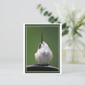 Was ist los? postkarte (Stehend Vorderseite)