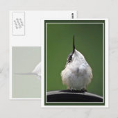 Was ist los? postkarte (Vorne/Hinten)