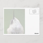 Was ist los? postkarte (Rückseite)