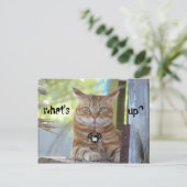 Was ist los? postkarte (Stehend Vorderseite)
