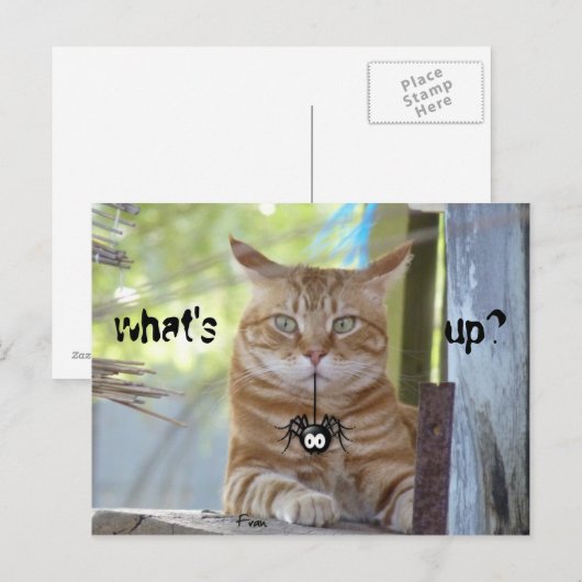 Was ist los? postkarte (Vorne/Hinten)