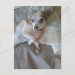 Was ist los? postkarte