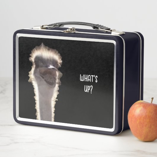 Was ist los? Straußenkopf, Gesicht, Lunchboxen (Beispiel)