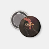 Was ist? magnet (Vorderseite/Rückseite)
