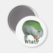 Was ist? magnet (Vorderseite/Rückseite)