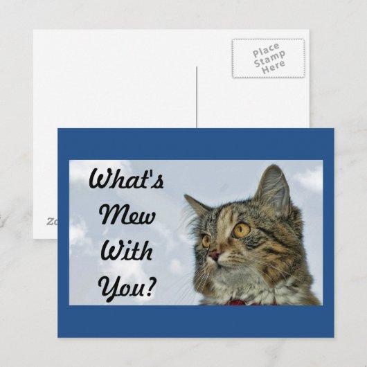 Was ist Mew Cat? Postkarte (Vorne/Hinten)