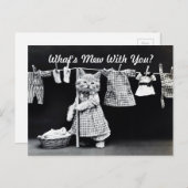 Was ist Mew Kitten? Postkarte (Vorne/Hinten)