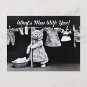 Was ist Mew Kitten? Postkarte (Vorderseite)