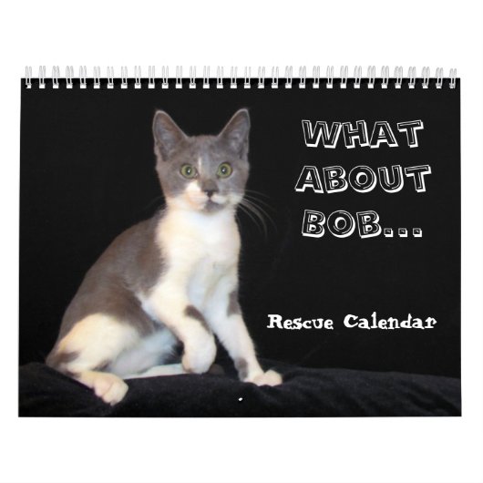 Was ist mit Bob Kitten (cat) Kalender? Kalender (Titelbild)
