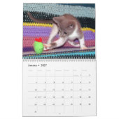 Was ist mit Bob Kitten (cat) Kalender? Kalender (Jan 2027)
