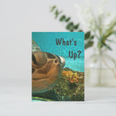 Was ist mit der Schildkröte-Selfie? Postkarte (Stehend Vorderseite)