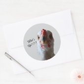 Was ist mit Hen-Aufkleber? Runder Aufkleber (Umschlag)