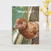 Was ist mit Hühnerfleisch Hintern Funny Hühnchen S Karte (Gelbe Blume)