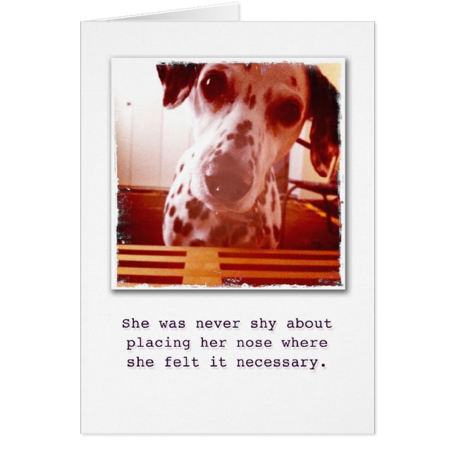 Was ist oben? (Vorne)