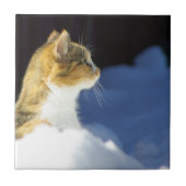 Was ist oben? fliese (Vorderseite)