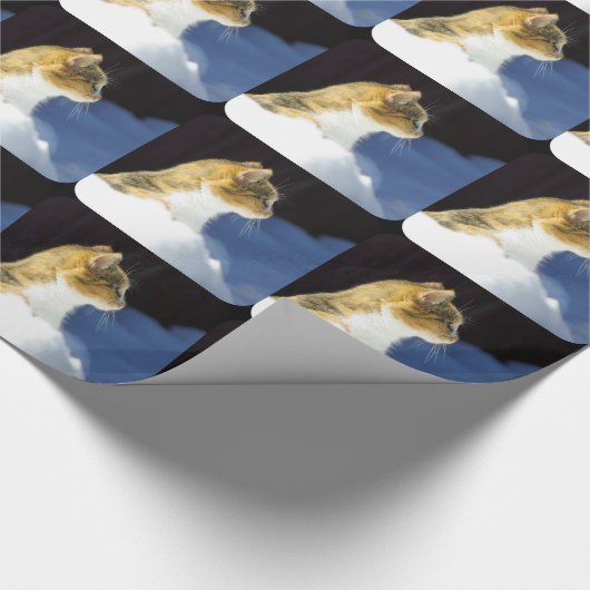 Was ist oben? geschenkpapier (Ecke)