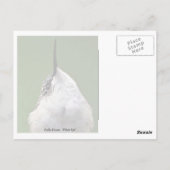 Was ist oben? Mit Text Postkarte (Rückseite)