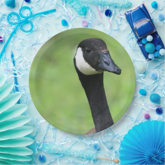 Was ist? pappteller (Party)