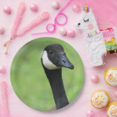 Was ist? pappteller (Party)