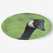 Was ist? pappteller (Schrägansicht)