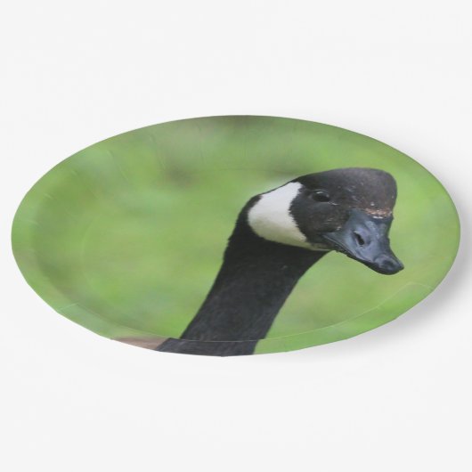 Was ist? pappteller (Schrägansicht)