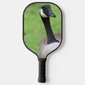 Was ist? pickleball schläger (Rückseite)