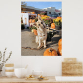 Was ist? poster (Küche)