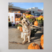 Was ist? poster (Vorne)