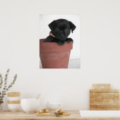 Was ist? poster (Küche)