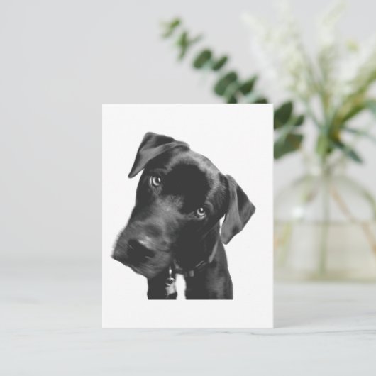 Was ist? postkarte (Stehend Vorderseite)