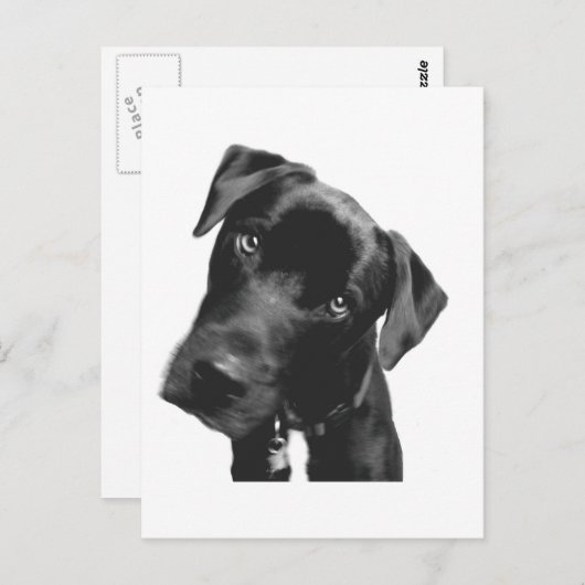 Was ist? postkarte (Vorne/Hinten)