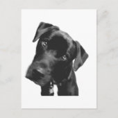 Was ist? postkarte (Vorderseite)