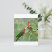 Was ist? postkarte (Stehend Vorderseite)