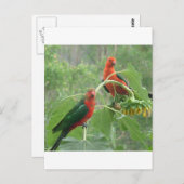 Was ist? postkarte (Vorne/Hinten)