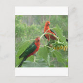 Was ist? postkarte (Vorderseite)