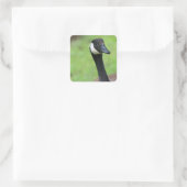 Was ist? quadratischer aufkleber (Tasche)