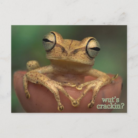 Was ist Risse? Postkarte (Vorderseite)