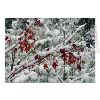 Was ist Rot und Weiß und Schnee überall?