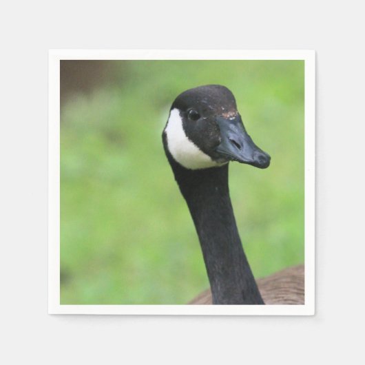 Was ist? serviette (Vorderseite)