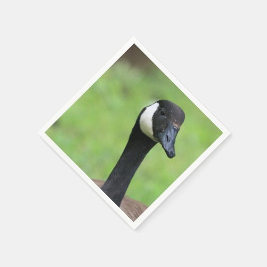 Was ist? serviette (Ecke)