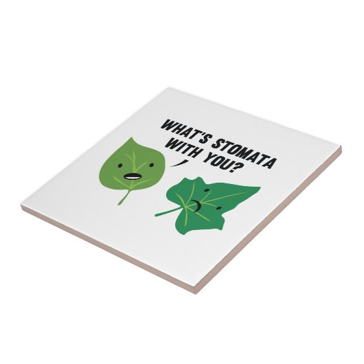 Was ist Stomata mit dir? Fliese (Seite)