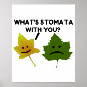 Was ist Stomata mit dir? Poster (Vorne)