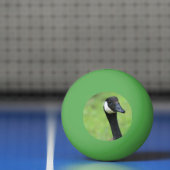 Was ist? tischtennisball (Netto)