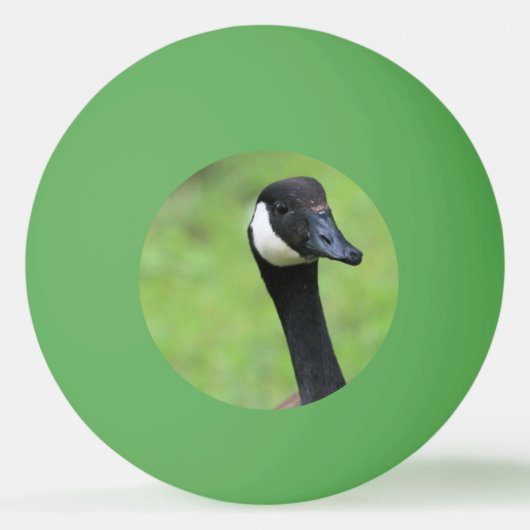 Was ist? tischtennisball (Vorderseite)