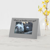 WAS IST ÜBER DEIN ALTER HINAUS? KARTE (Gelbe Blume)