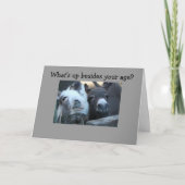 WAS IST ÜBER DEIN ALTER HINAUS? KARTE (Vorderseite)