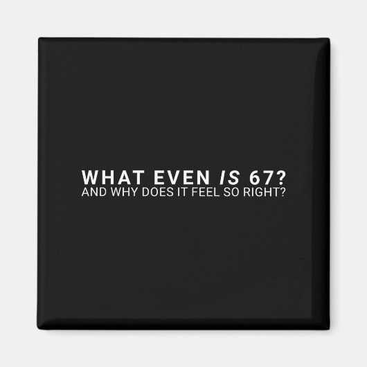 Was ist überhaupt 67 Meme Magnet (Vorne)