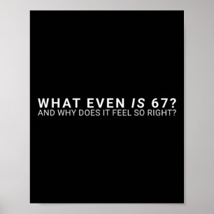 Was ist überhaupt der 67-Meme  Poster