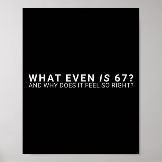 Was ist überhaupt der 67-Meme Poster (Vorne)
